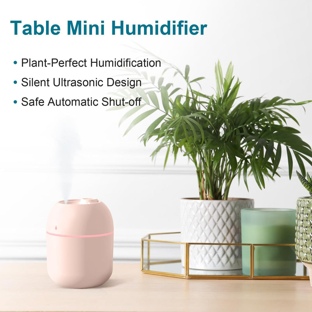 Mini USB Cool Humidifier